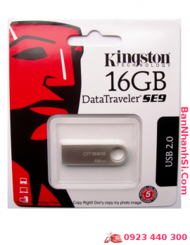 USB Kingston DataTraveler SE9 16Gb