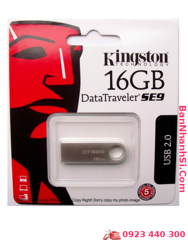USB Kingston DataTraveler SE9 16Gb1