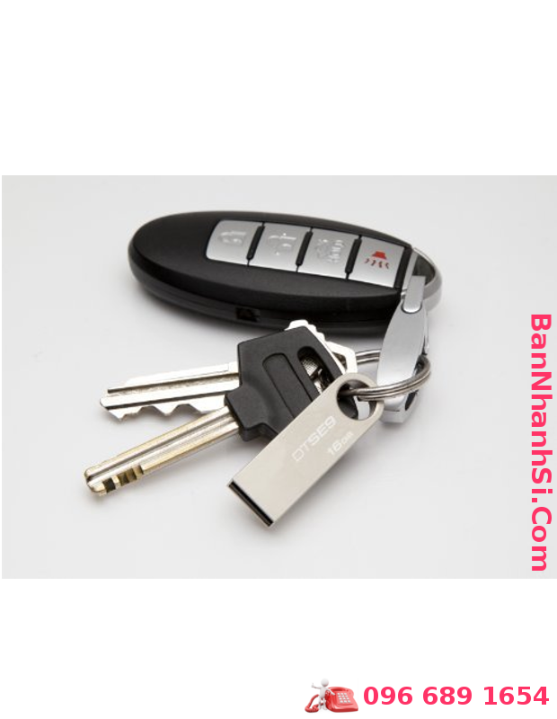 USB Kingston DataTraveler SE9 8Gb2
